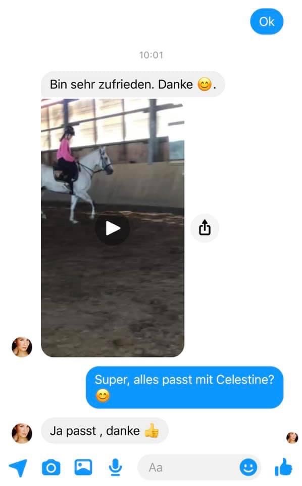 Customer review 6