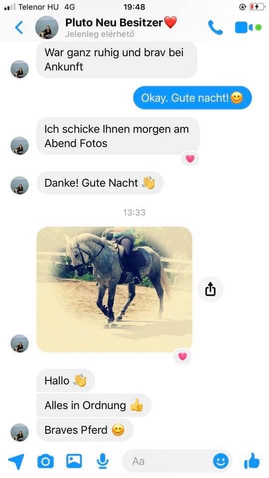 Customer review 7