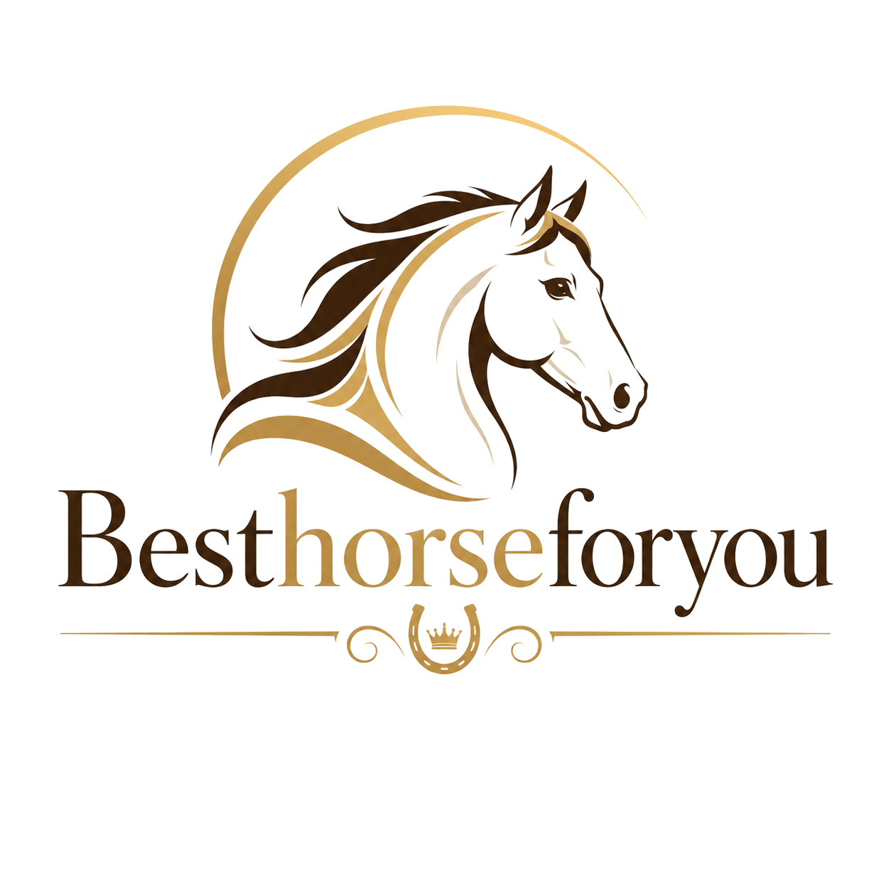 BestHorseForYou