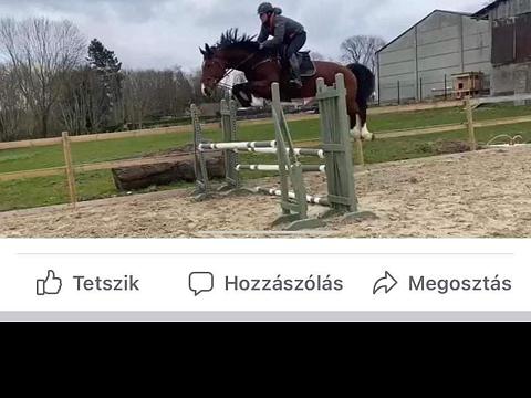 Mellisco 7